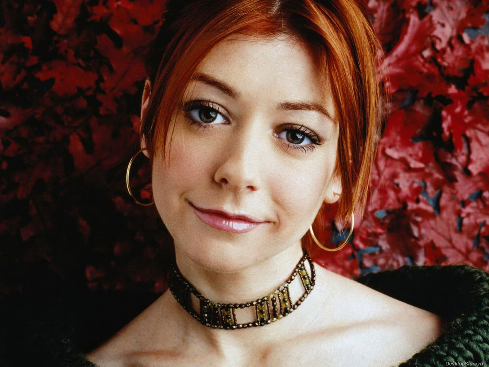 XXX ] Alyson Hannigan Privada Desnuda Fotos – Filtradas Famosas